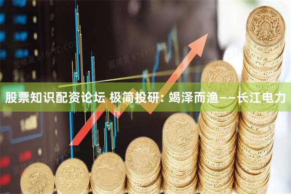 股票知识配资论坛 极简投研: 竭泽而渔——长江电力